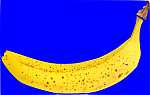 Banane auf blauem Grund