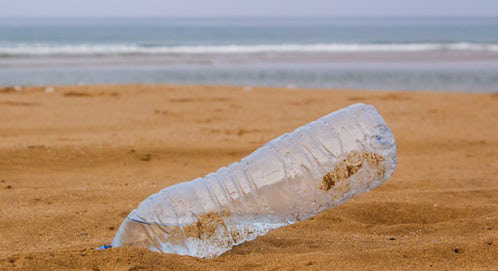 Plastflasche am Meer
